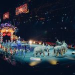 Il Coliseu do Porto con un circo che potrebbe essere una “versione per bambini” di ‘Mad Max’.